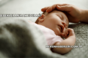 Bebekler Merak Eder mi?