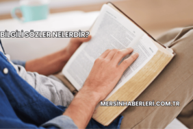 Bilgili Sözler Nelerdir?