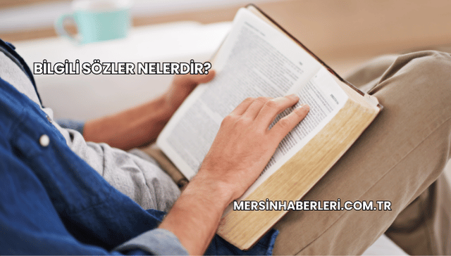 Bilgili Sözler Nelerdir?