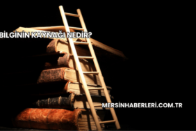 Bilginin Kaynağı Nedir?