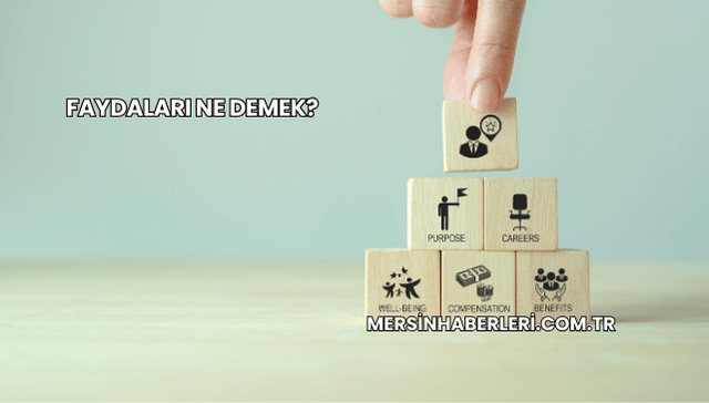Faydaları Ne Demek?