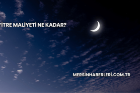Fitre Maliyeti Ne Kadar?