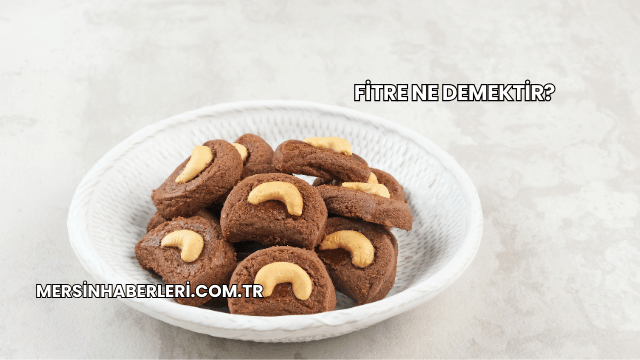 Fitre Ne Demektir?