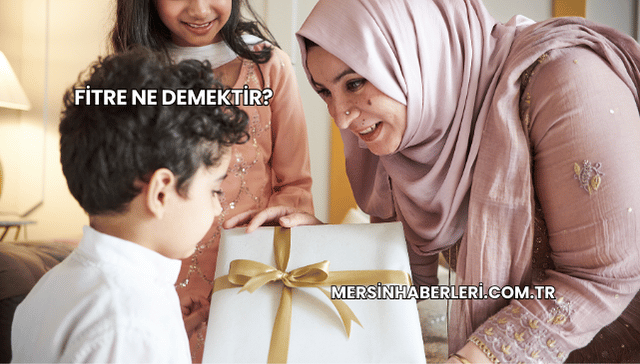 Fitre Ne Demektir?
