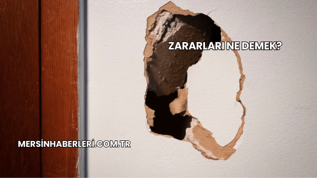 Zararları Ne Demek?
