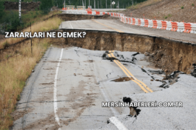 Zararları Ne Demek?