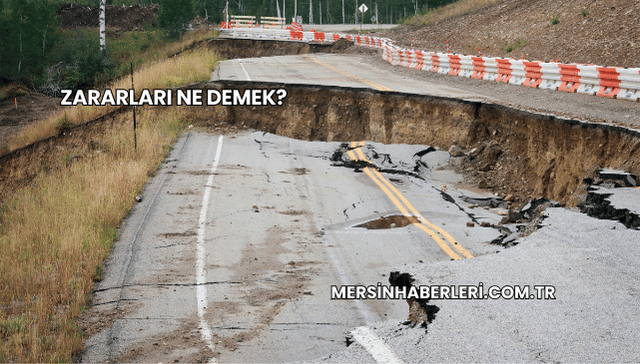 Zararları Ne Demek?