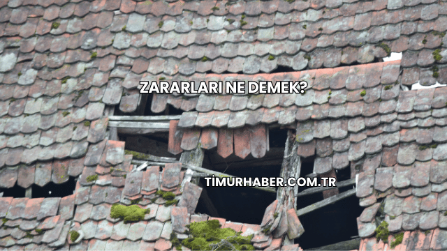 Zararları Ne Demek?