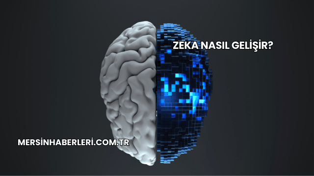 Zeka Nasıl Gelişir?