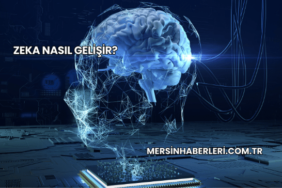 Zeka Nasıl Gelişir?
