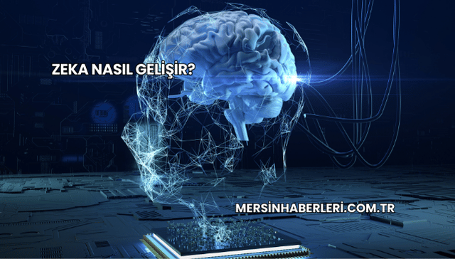 Zeka Nasıl Gelişir?