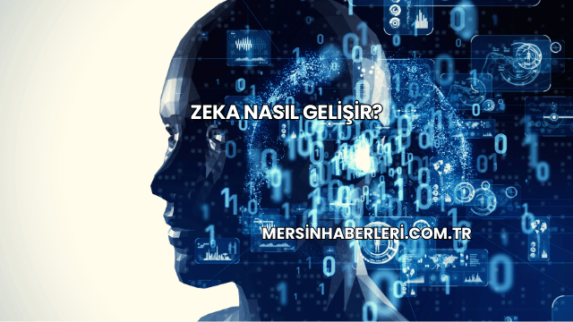 Zeka Nasıl Gelişir?
