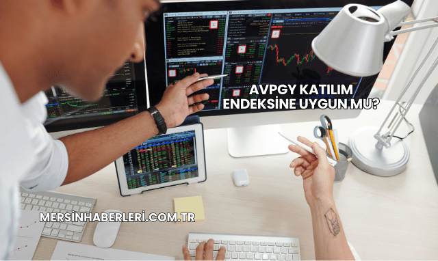 AVPGY Katılım Endeksine Uygun mu?