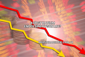 AVPGY Katılım Endeksine Uygun mu?