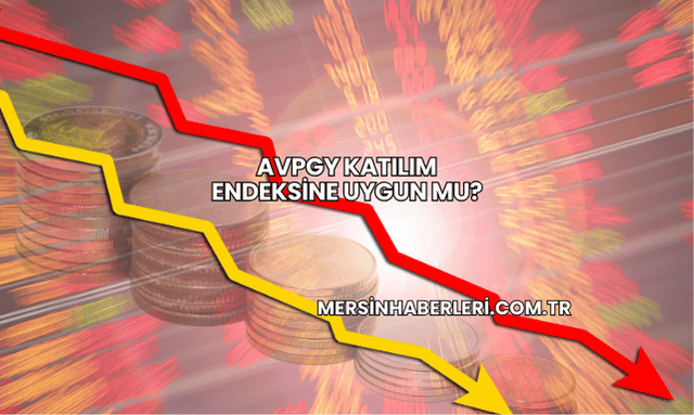 AVPGY Katılım Endeksine Uygun mu?