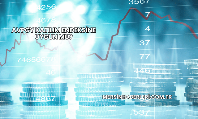 AVPGY Katılım Endeksine Uygun mu?