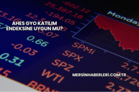 Ahes GYO Katılım Endeksine Uygun mu?
