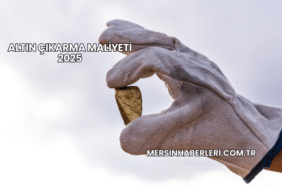 Altın Çıkarma Maliyeti 2025