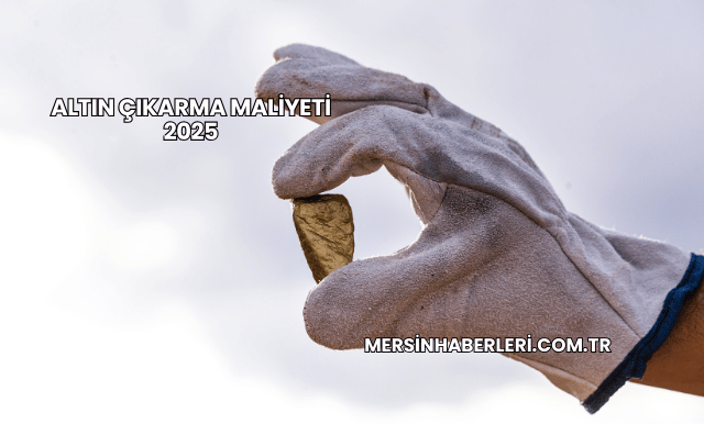 Altın Çıkarma Maliyeti 2025