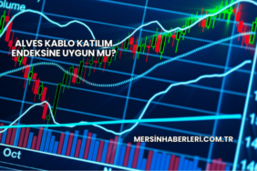 Alves Kablo Katılım Endeksine Uygun mu?