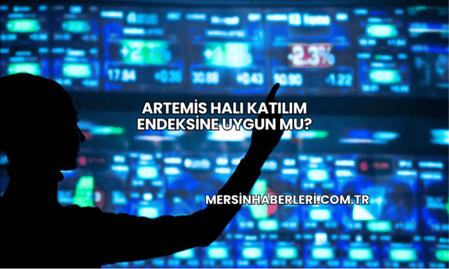 Artemis Halı Katılım Endeksine Uygun mu?