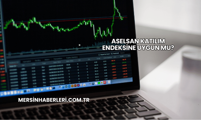 Aselsan Katılım Endeksine Uygun mu?