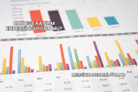 Batı Ege Katılım Endeksine Uygun mu?