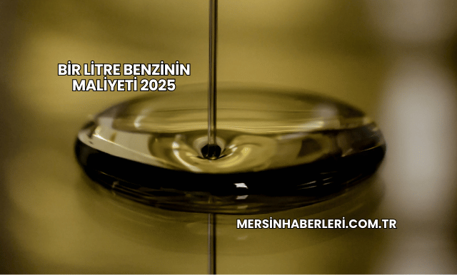 Bir Litre Benzinin Maliyeti 2025