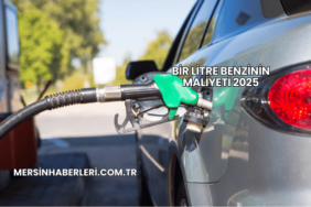 Bir Litre Benzinin Maliyeti 2025