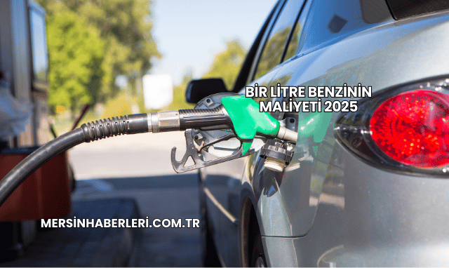 Bir Litre Benzinin Maliyeti 2025