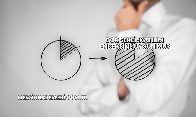 Bor Şeker Katılım Endeksine Uygun mu?