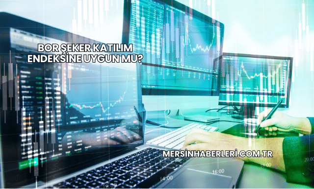 Bor Şeker Katılım Endeksine Uygun mu?
