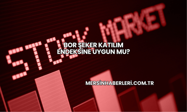 Bor Şeker Katılım Endeksine Uygun mu?