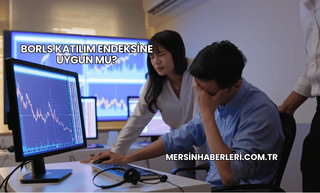 Borls Katılım Endeksine Uygun mu?