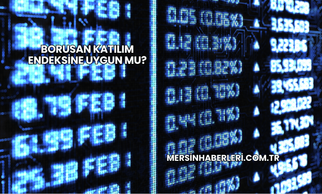 Borusan Katılım Endeksine Uygun mu?