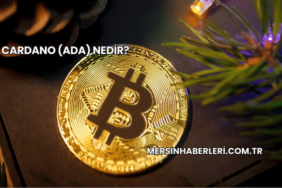 Cardano (ADA) Nedir?