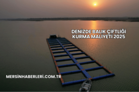 Denizde Balık Çiftliği Kurma Maliyeti 2025