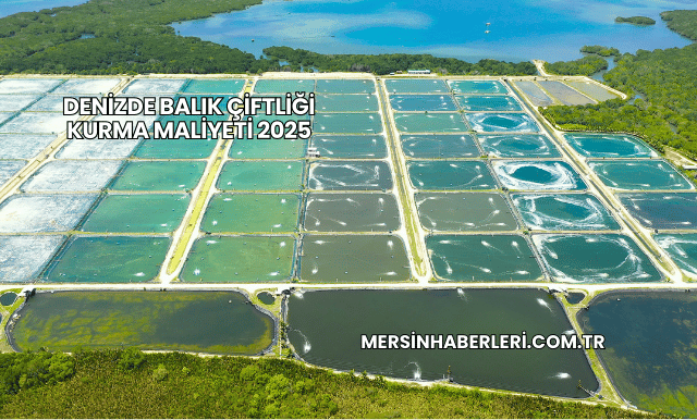 Denizde Balık Çiftliği Kurma Maliyeti 2025
