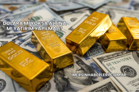Dolara mı Yoksa Altına mı Yatırım Yapılmalı?
