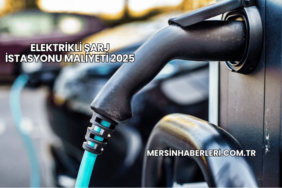 Elektrikli Şarj İstasyonu Maliyeti 2025