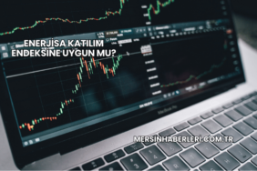 Enerjisa Katılım Endeksine Uygun mu?
