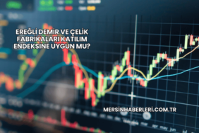 Ereğli Demir ve Çelik Fabrikaları Katılım Endeksine Uygun mu?