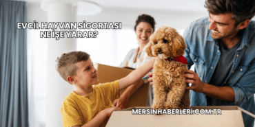 Evcil Hayvan Sigortası Ne İşe Yarar?