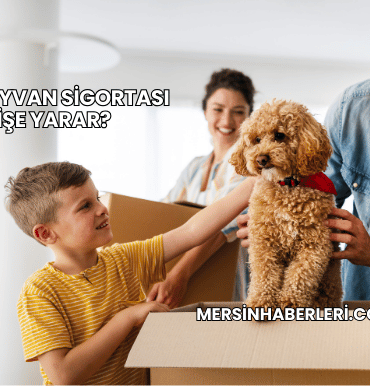 Evcil Hayvan Sigortası Ne İşe Yarar?