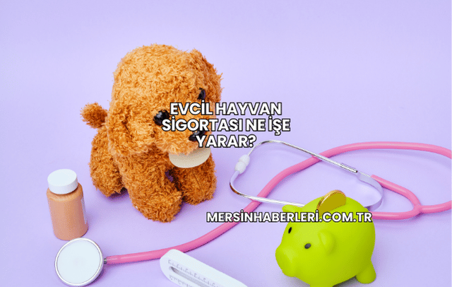 Evcil Hayvan Sigortası Ne İşe Yarar?