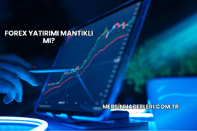 Forex Yatırımı Mantıklı mı?