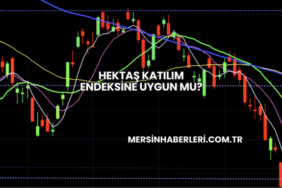Hektaş Katılım Endeksine Uygun mu?