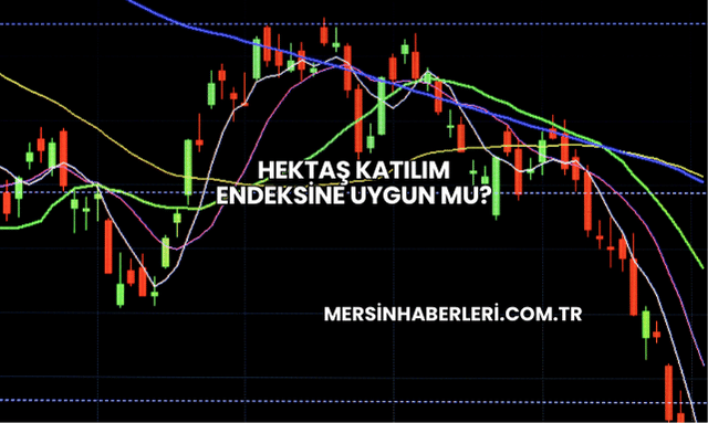 Hektaş Katılım Endeksine Uygun mu?