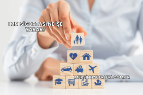 IMM Sigortası Ne İşe Yarar?