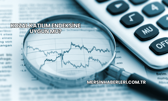 Kozal Katılım Endeksine Uygun mu?